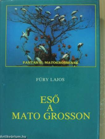 Eső a Mato Grosson