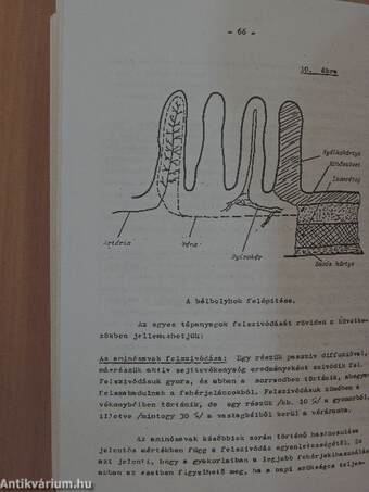 Élelmezési ismeretek I.