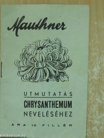 Utmutatás chrysanthemum neveléséhez