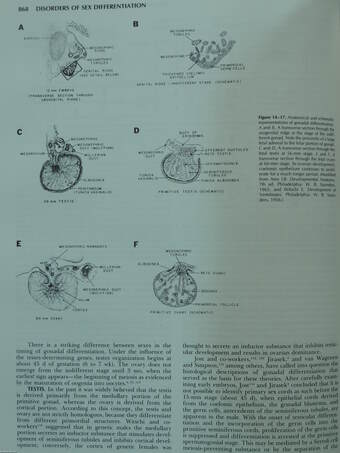 Williams Textbook of Endocrinology