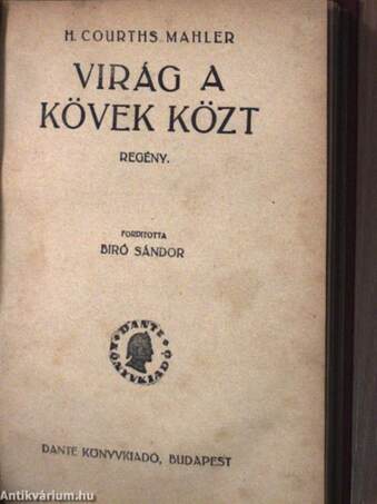 Ne itélj/Virág a kövek közt