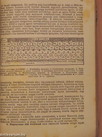 Hogyan készítsük el virágos kertünket/Családi ház zöldségeskertje/Melegágy és üvegház a házikertben