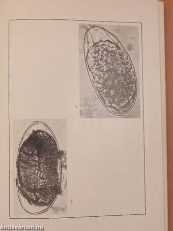 Parasitologia Hungarica 1970/3.