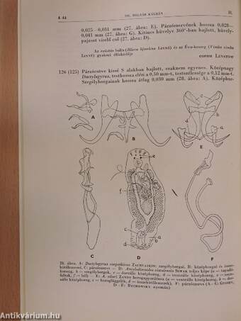 Mételyek I. - Trematodes I.