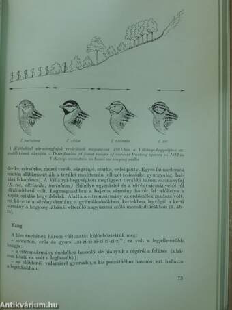 Aquila - A Magyar Madártani Intézet évkönyve 1983