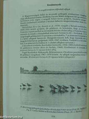 Aquila - A Magyar Madártani Intézet évkönyve 1994