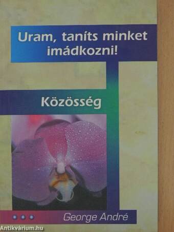 Uram, taníts minket imádkozni!/Közösség