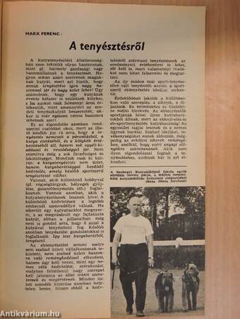 A kutya 1972. július