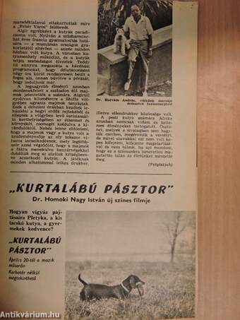 A kutya 1972. június