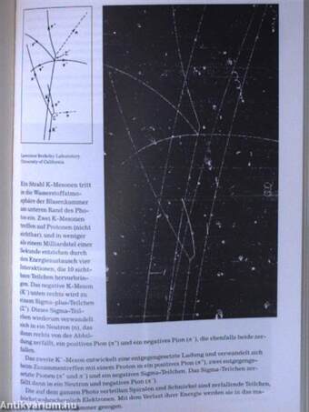 Quantensprung der Führungskunst