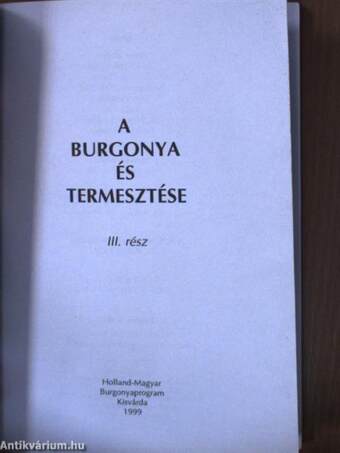 A burgonya és termesztése III.