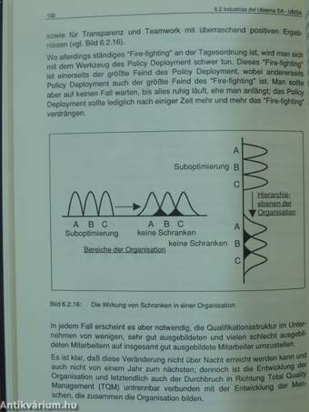 Business Excellence durch TQM