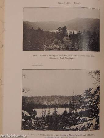 Földrajzi Közlemények 1909. január-december/A Magyar Földrajzi Társaság Tisztikarának és Tagjainak Névjegyzéke az 1909. év derekán