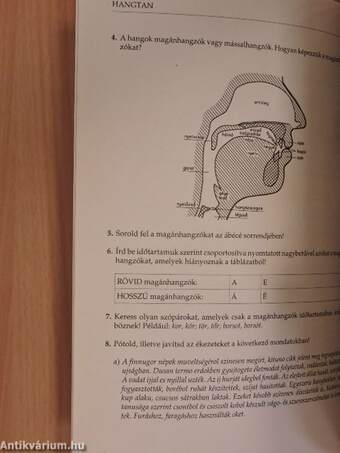 Magyar nyelvtan és helyesírás feladatgyűjtemény