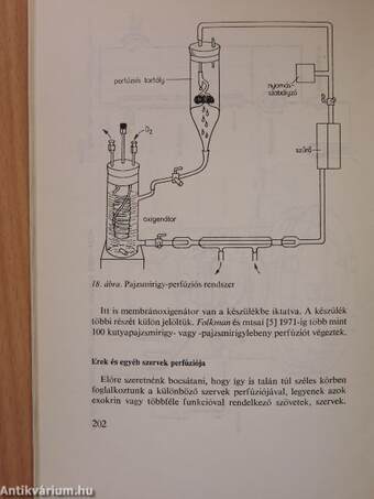 A biológia aktuális problémái 13.