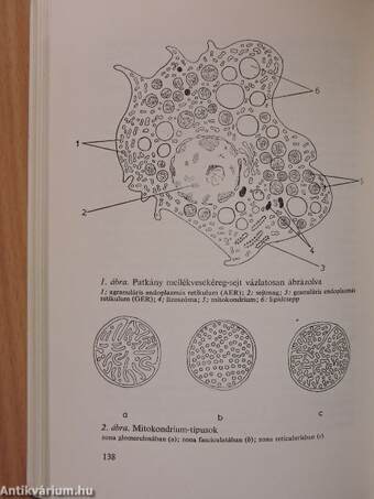 A biológia aktuális problémái 8.