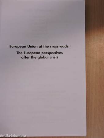 European Union at the crossroads: The European perspectives after the global crisis