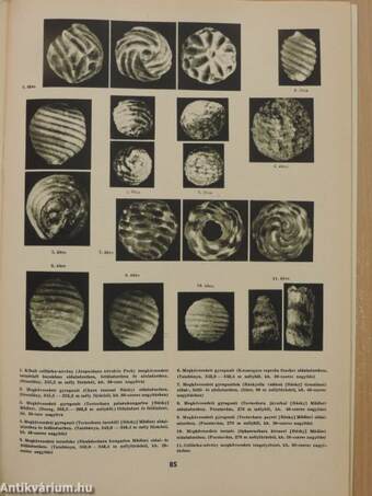 Természettudományi Közlöny 1959. február