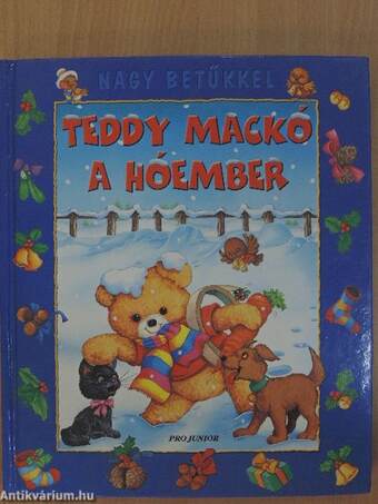 Teddy mackó a hóember