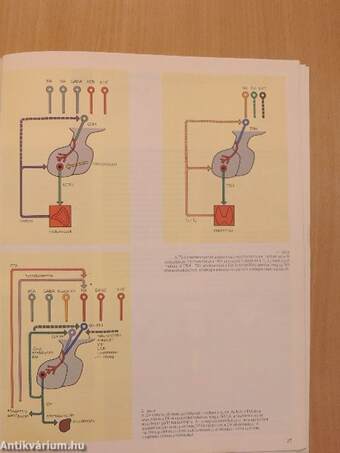 Sandoz revue 1/82