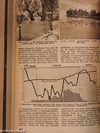 Élet és Tudomány 1956. január-december I-II.