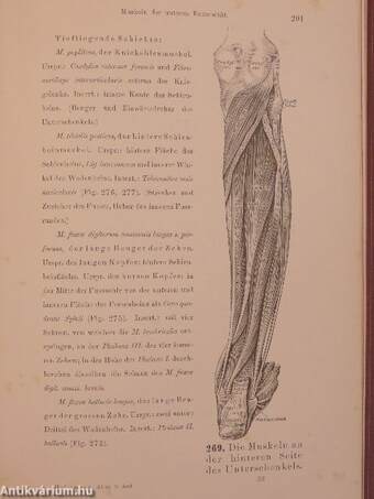 Die Descriptive und Topographische Anatomie des Menschen