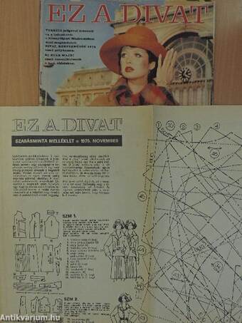 Ez a divat 1975/11.