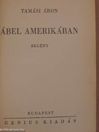 Ábel Amerikában