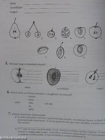 A természet csodái