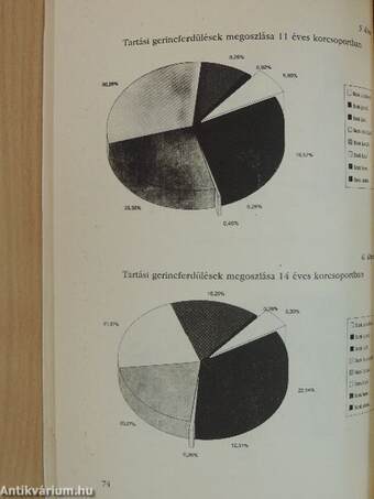 Jelentés a magyar gyerekek helyzetéről 1991