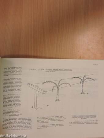 Gyümölcs-inform 1982/2.