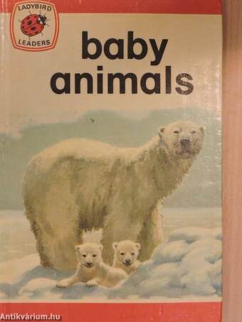 Baby animals