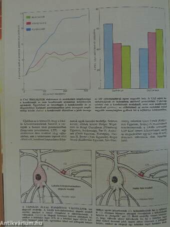 Tudomány 1989. szeptember