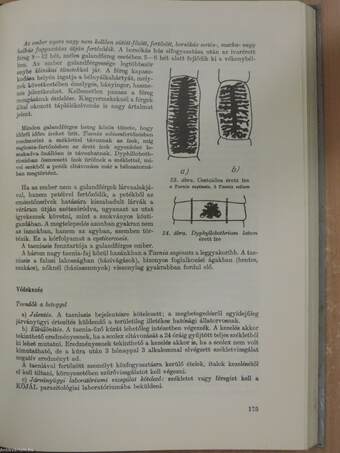 Mikrobiológia-Parazitológia/Járványtan/Közegészségtan