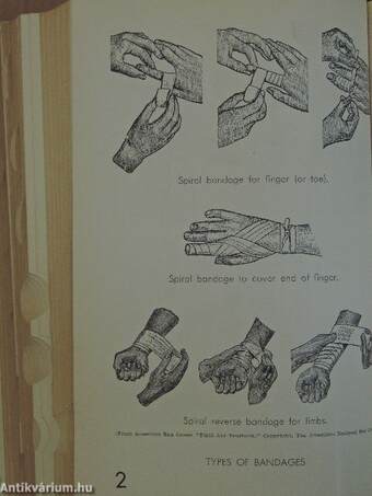 Blakiston's illustrated pocket medical dictionary