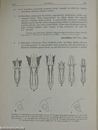 Különböző csápú bogarak II. - Álpattanóbogarak, tövisnyakú bogarak, merevbogarak