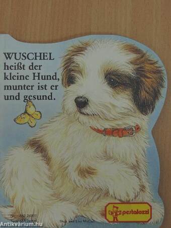 Wuschel heißt der kleine Hund, munter ist er und gesund