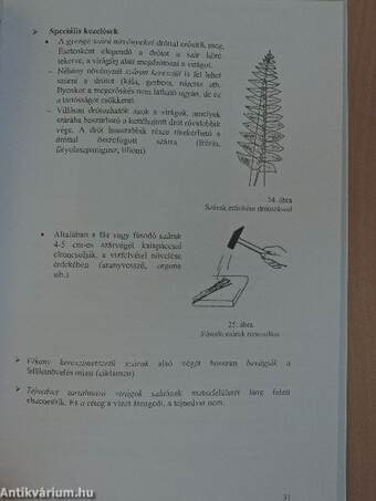 Virágkötészeti szakmai ismeretek