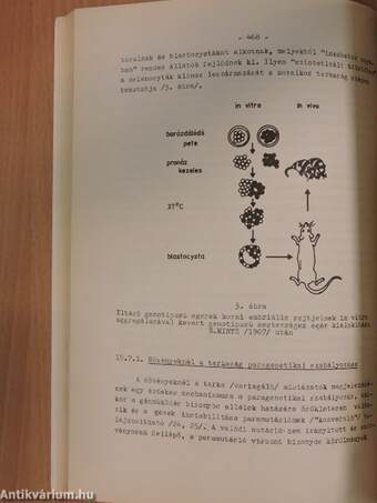 A genetika biokémiai problémái III. (töredék)