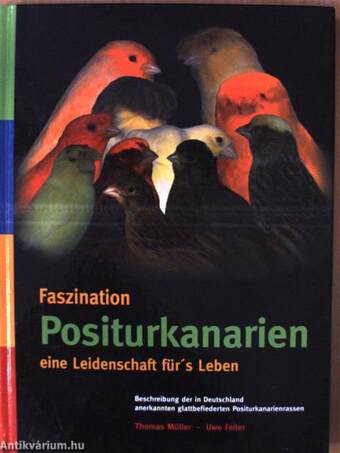 Faszination Positurkanarien eine Leidenschaft für's Leben