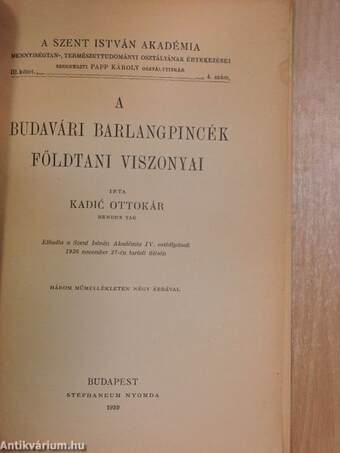 A budavári barlangpincék földtani viszonyai