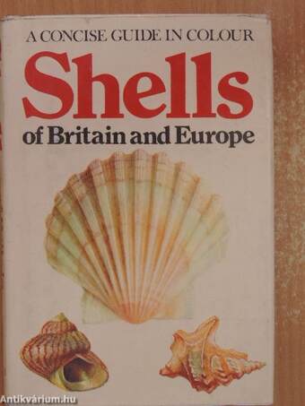 Shells of Britain and Europe