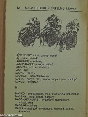 Rejtvényfejtő mini szó-tár 38.