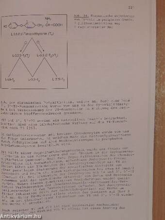 Pathobiochemie der Entzündung