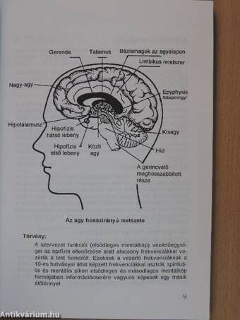 Információs gyógyászat