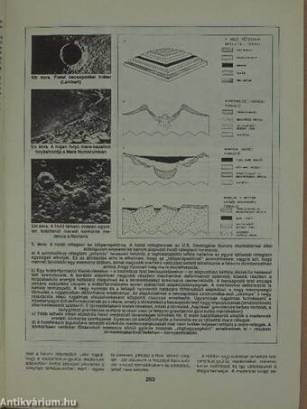 Természet Világa 1989. július