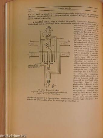 Vízügyi Közlemények 1948/3.