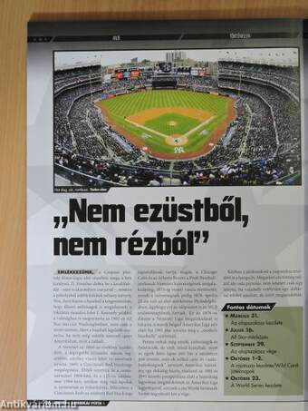 Nemzeti Sport Magazin 2013/4.