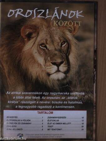 Oroszlánok között - DVD-vel