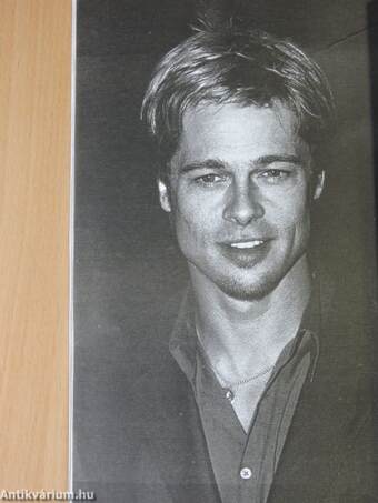 Az igazi Brad Pitt II.